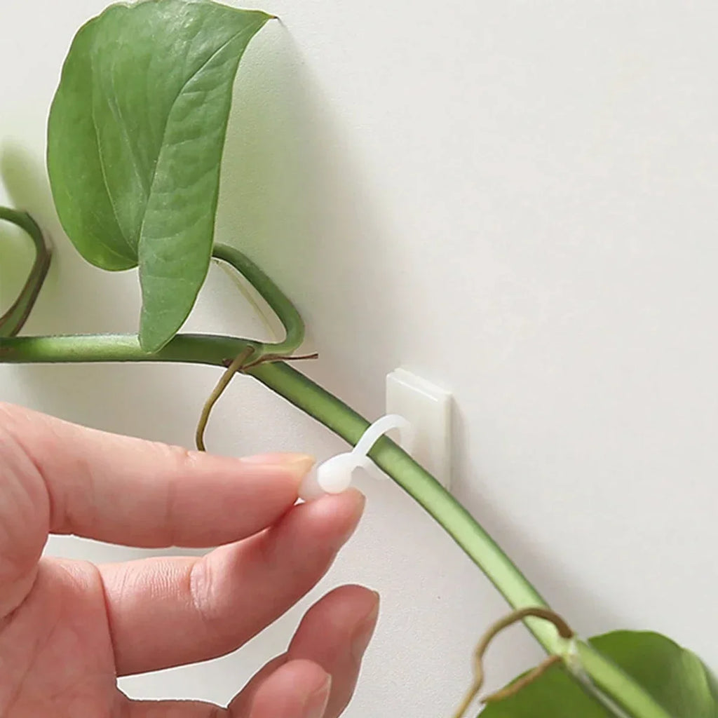 10/20pcs-Plant Fixator Wall Mounted Universal Hook Used for Hanging Baskets Climbing Vines Plant Home Garden Accessories